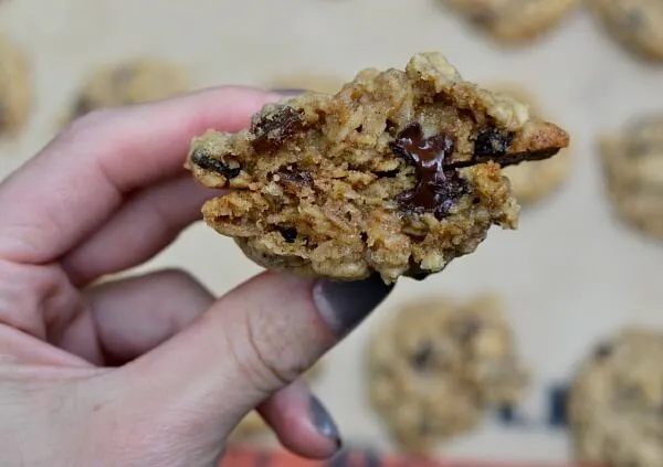 Raisin Chocolate Chip Cookies
